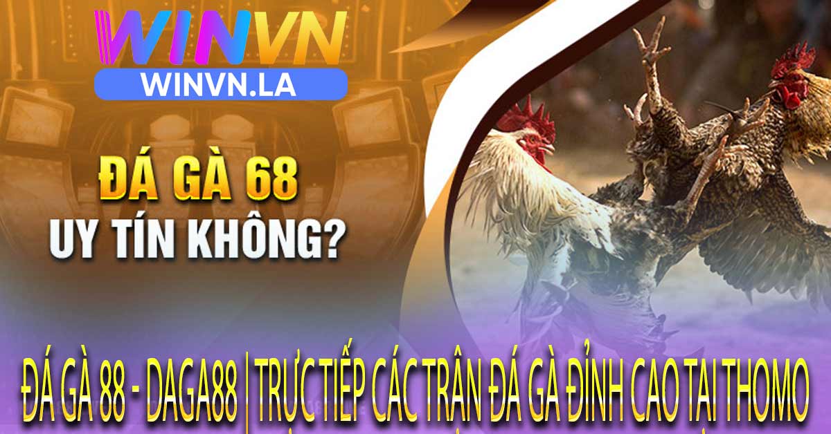 Review sảnh đá gà 88